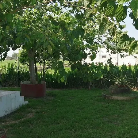 Casa Rous-riumar 1 Ferienhaus *