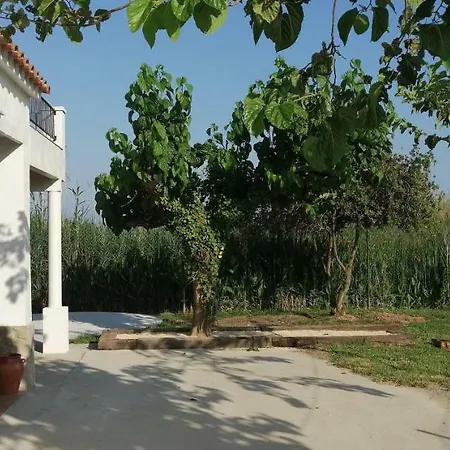 Ferienhaus Casa Rous-riumar 1 *