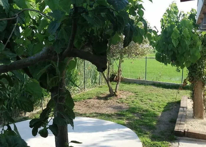 Casa Rous-riumar 1 Tatil Evi Deltebre