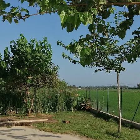 Σπίτι διακοπών Casa Rous-riumar 1 Deltebre