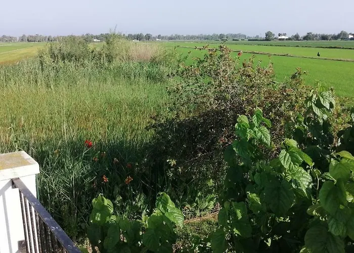 Prázdninový dům Casa Rous-riumar 1 Deltebre