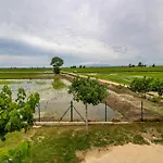Casa Rous-riumar 1 Ferienhaus *